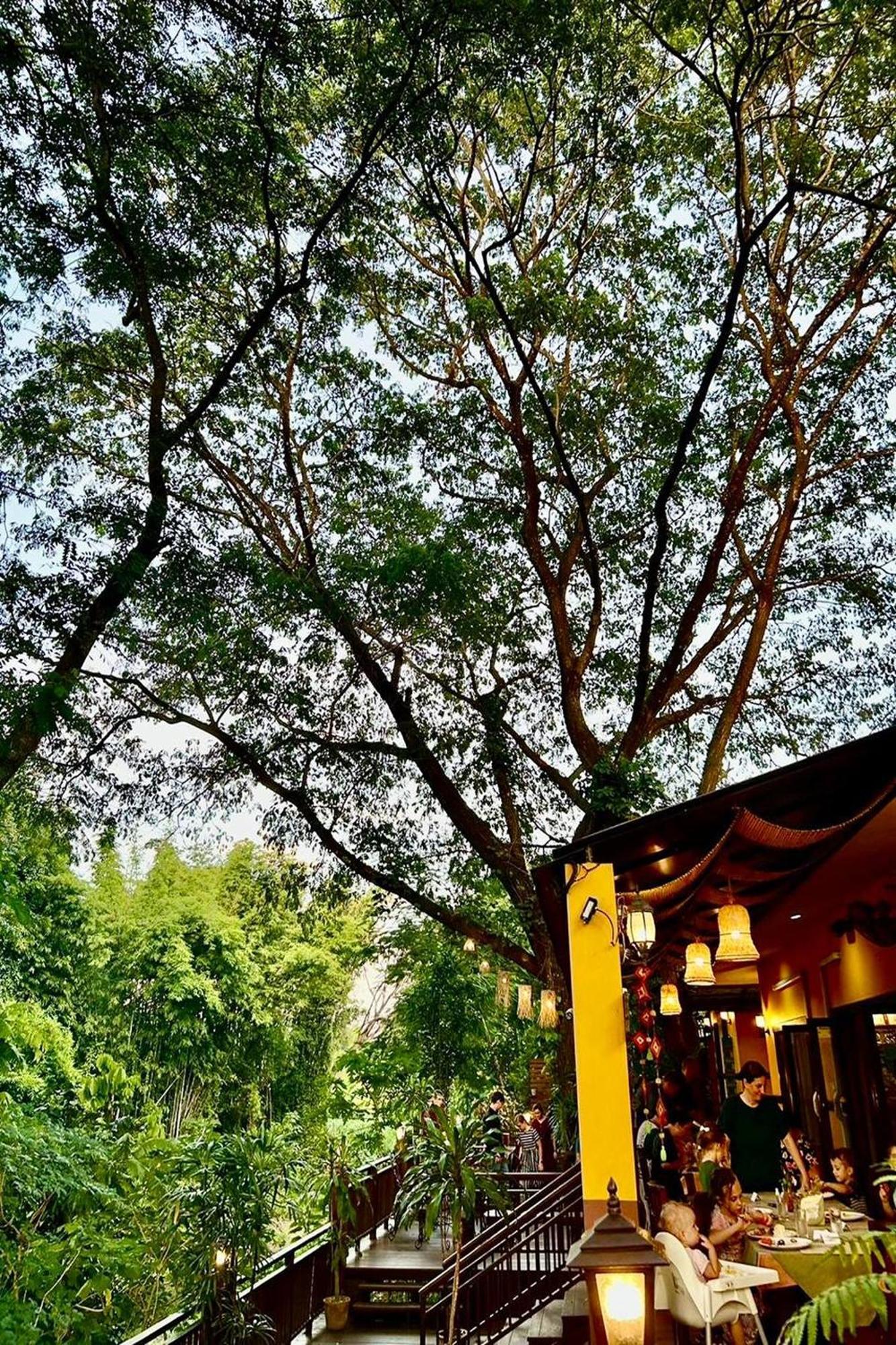 Papai Country Lodge Sha Ban Mae Pong Eksteriør billede